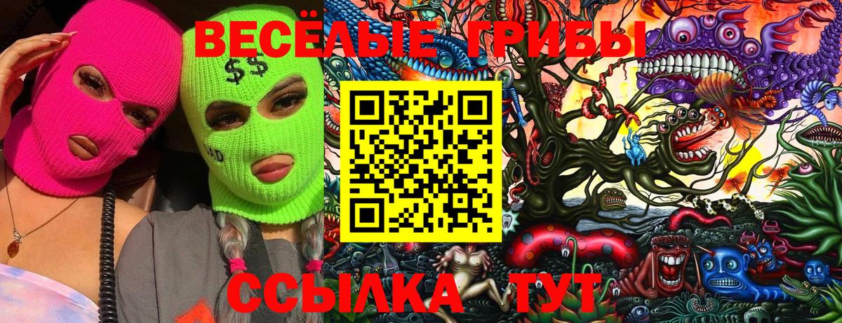 Псилоцибиновые грибы GOLDEN TEACHER Сальск