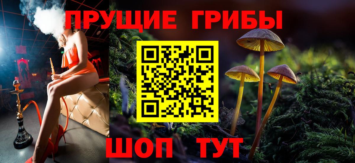 Сальск  Псилоцибиновые грибы мицелий  Вход с VPN  Псилоцибиновые грибы GOLDEN TEACHER 